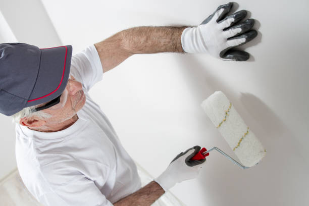 Biohazard Mold Removal in Cabot, AR