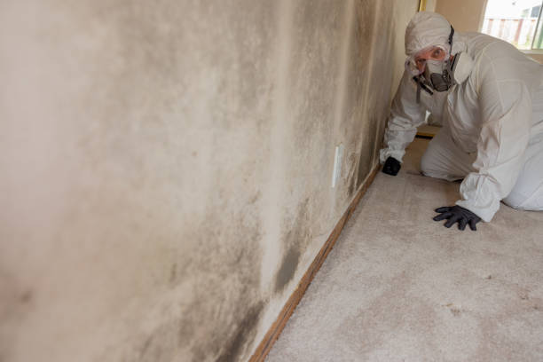 Best Mold Removal for HVAC Installations  in Cabot, AR